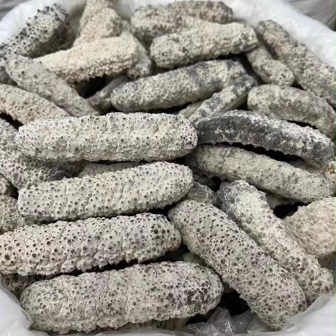 Batch of pale dried sea cucumbers in a lined container