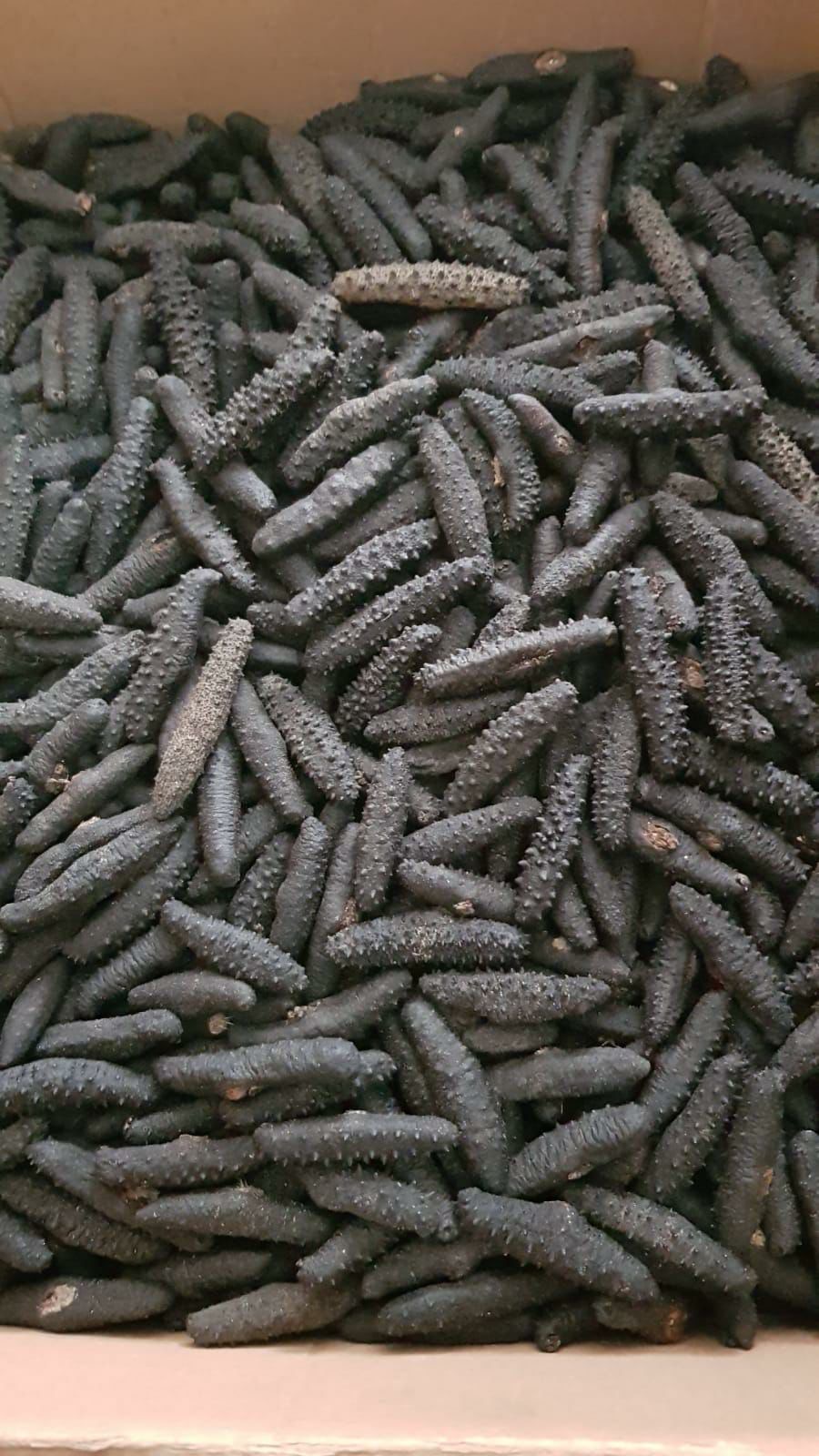 Carton filled with smaller dark dried sea cucumbers