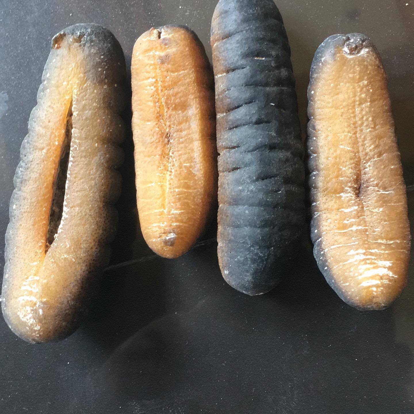 Close-up of four individual processed sea cucumber pieces
