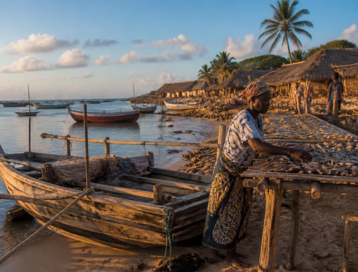 East African coastal fishing community at the source, with boats and drying racks